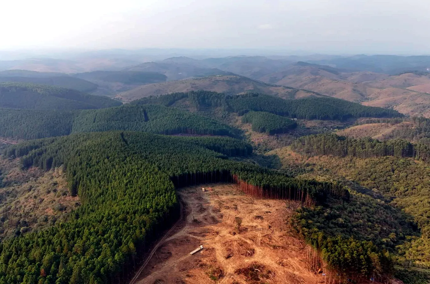 Rotational felling in a harvest block