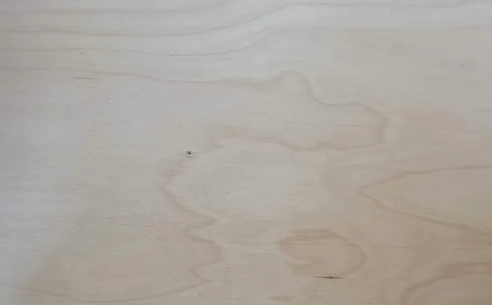 Natural birch veneer plywood face