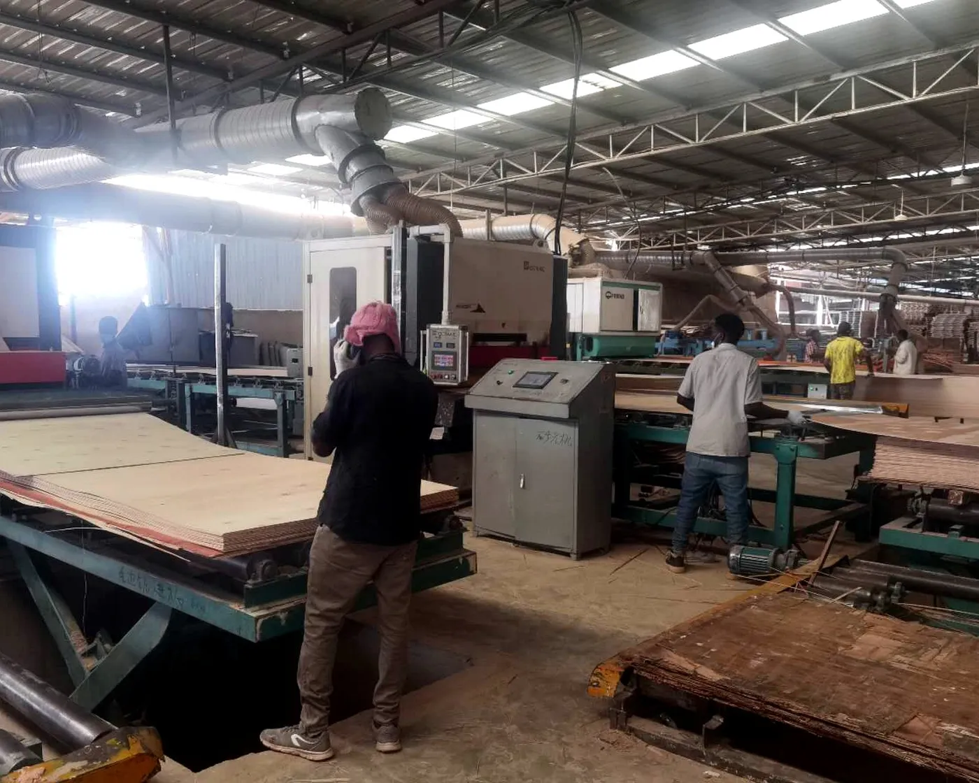 Sanding and sizing line